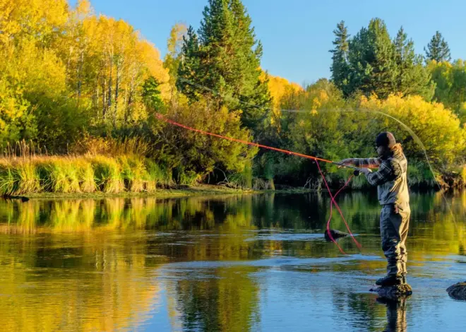 Animal-Rights Activists Want Oregon to Make Hunting and Fishing a Crime