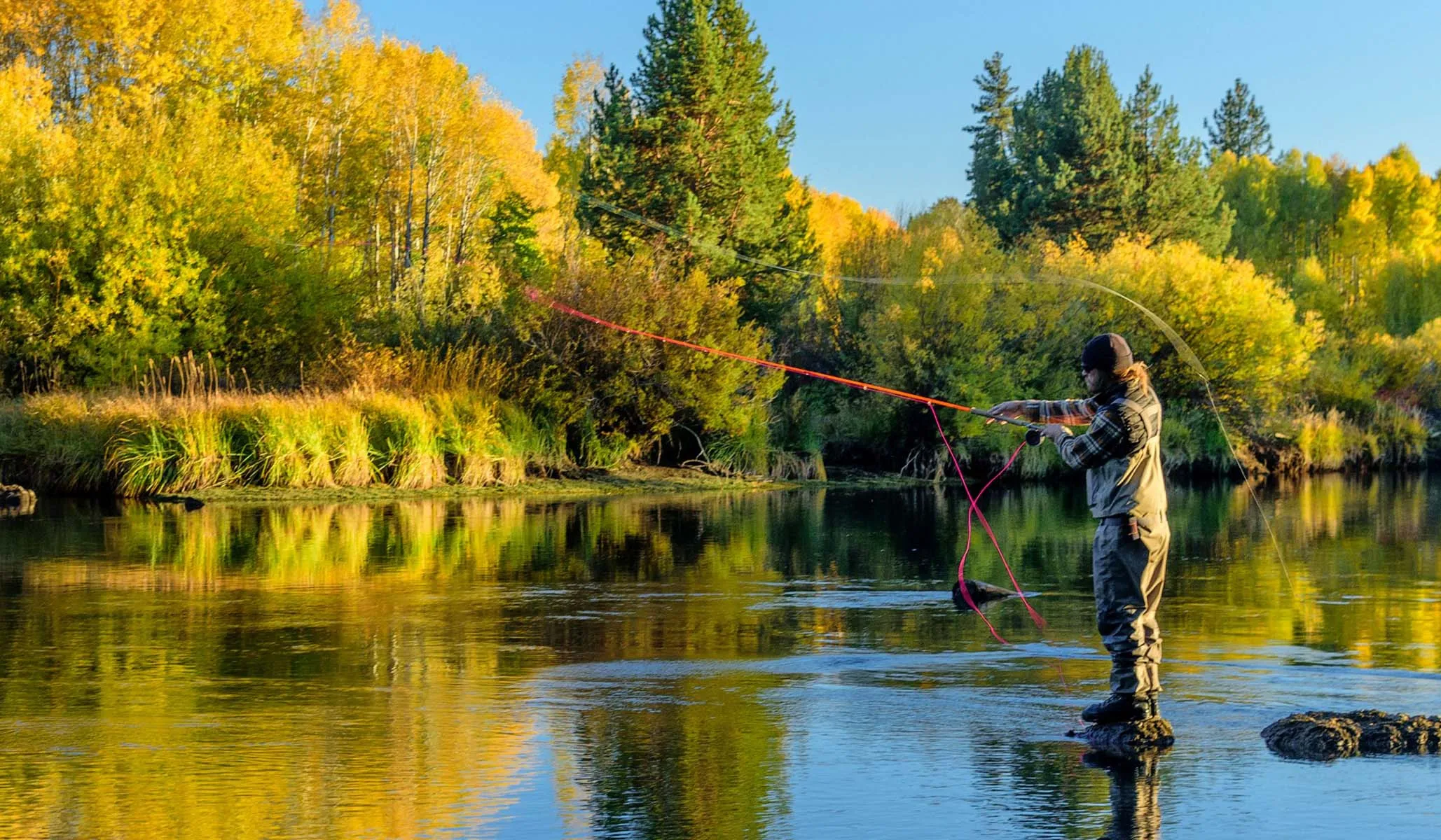 Animal-Rights Activists Want Oregon to Make Hunting and Fishing a Crime