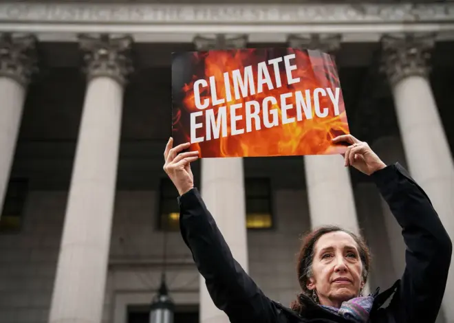 Who’s Writing the Curriculum Climate Activists Are Using to Influence Judges?