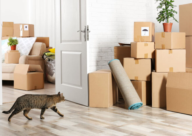Minneapolis to Madison: Moving a Home-Based Business Without Missing a Beat