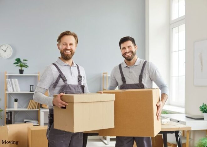 Packing a Home Library in Boston Without Losing Its Character