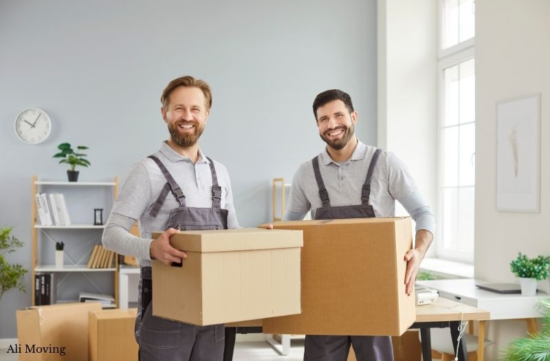 Packing a Home Library in Boston Without Losing Its Character